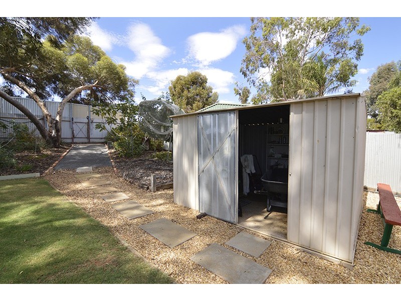 25 Riverview Drive, Dareton NSW 2717
