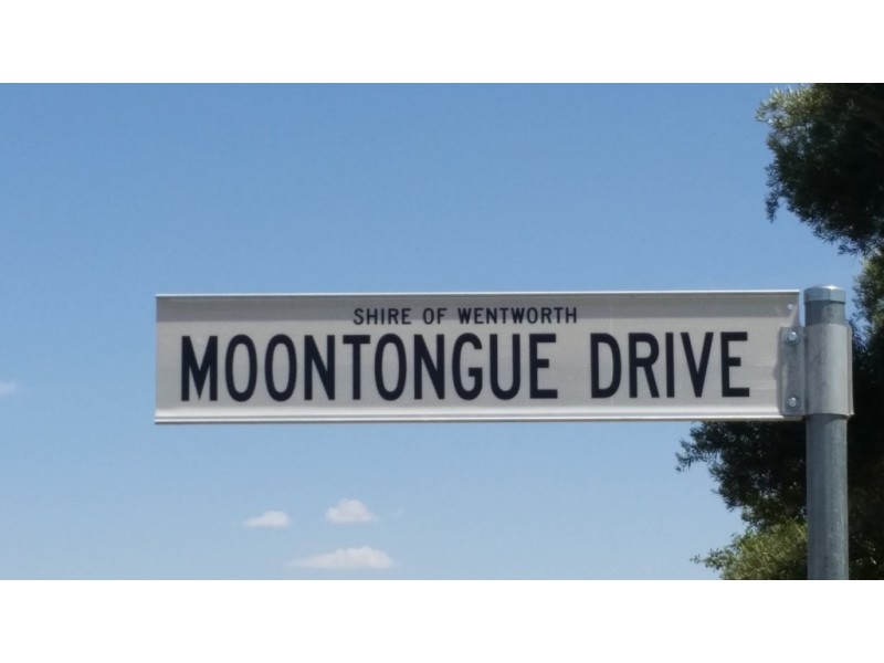 Lot 15 Moontongue Drive, Gol Gol NSW 2738