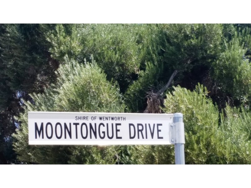Lot 15 Moontongue Drive, Gol Gol NSW 2738