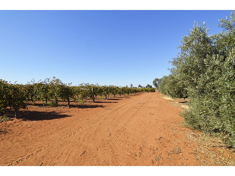 357 Paschendale Avenue, Merbein West VIC 3505