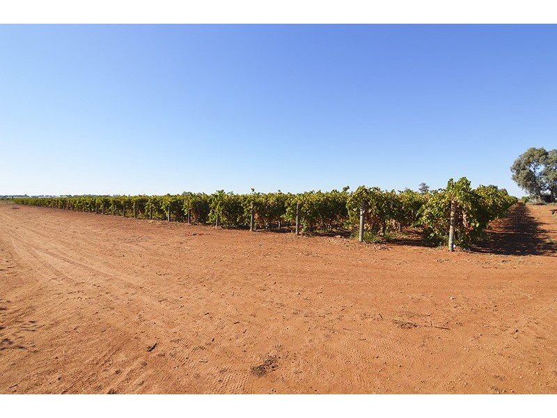 357 Paschendale Avenue, Merbein West VIC 3505