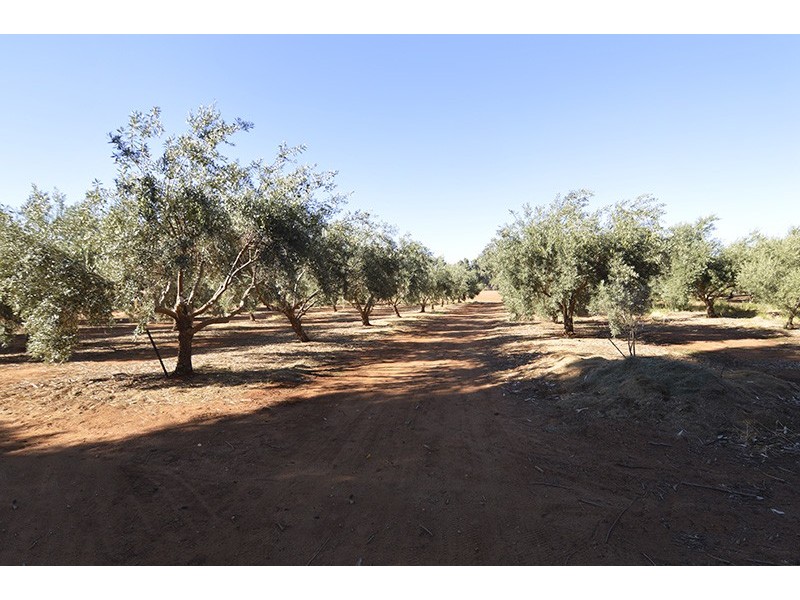 357 Paschendale Avenue, Merbein West VIC 3505