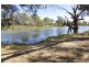 47 Wentworth Street, Wentworth NSW 2648