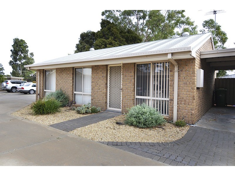 9/221-223 Adams Street, Wentworth NSW 2648