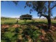 Lot 1 Darling View Road, Wentworth NSW 2648