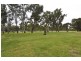 Lot 1 Darling View Road, Wentworth NSW 2648
