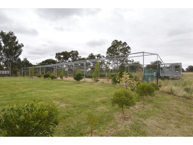 Lot 1 Darling View Road, Wentworth NSW 2648