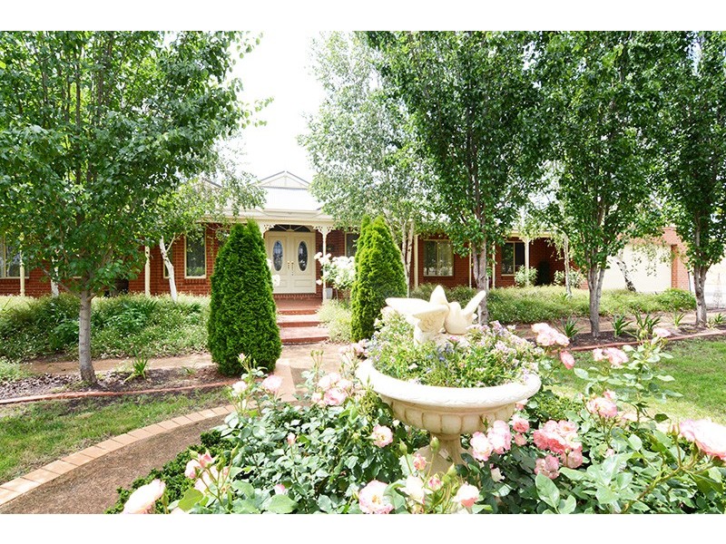 169 Euston Avenue, Irymple VIC 3498