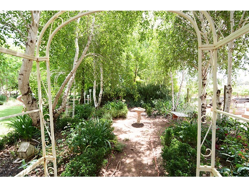 169 Euston Avenue, Irymple VIC 3498