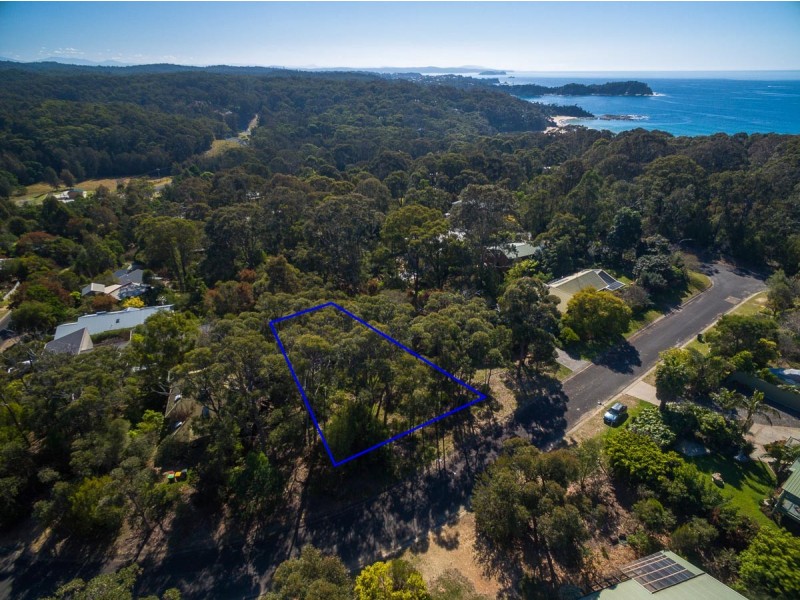 16 Tallwood Crescent, Rosedale NSW 2536