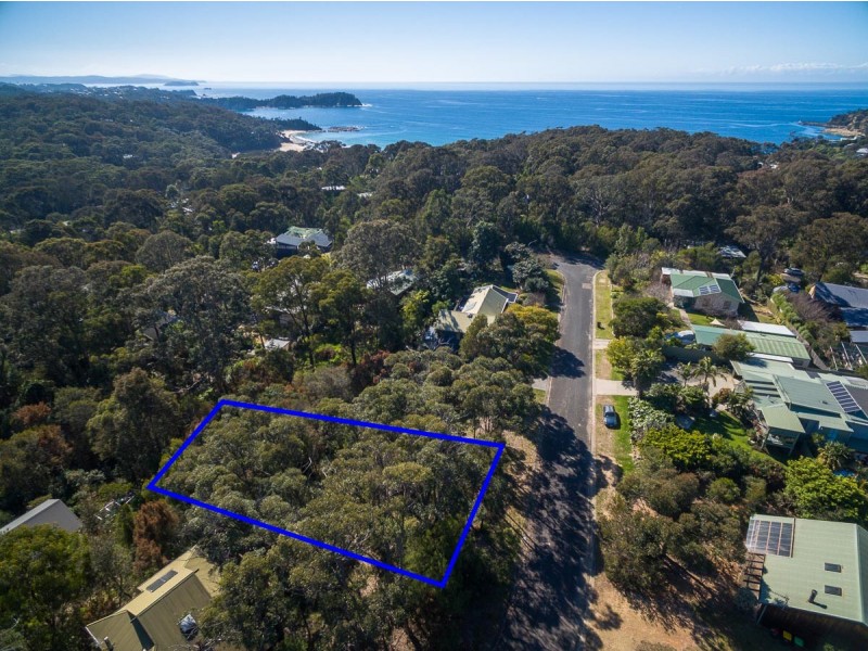 16 Tallwood Crescent, Rosedale NSW 2536