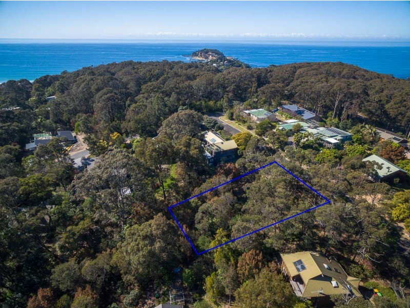 16 Tallwood Crescent, Rosedale NSW 2536