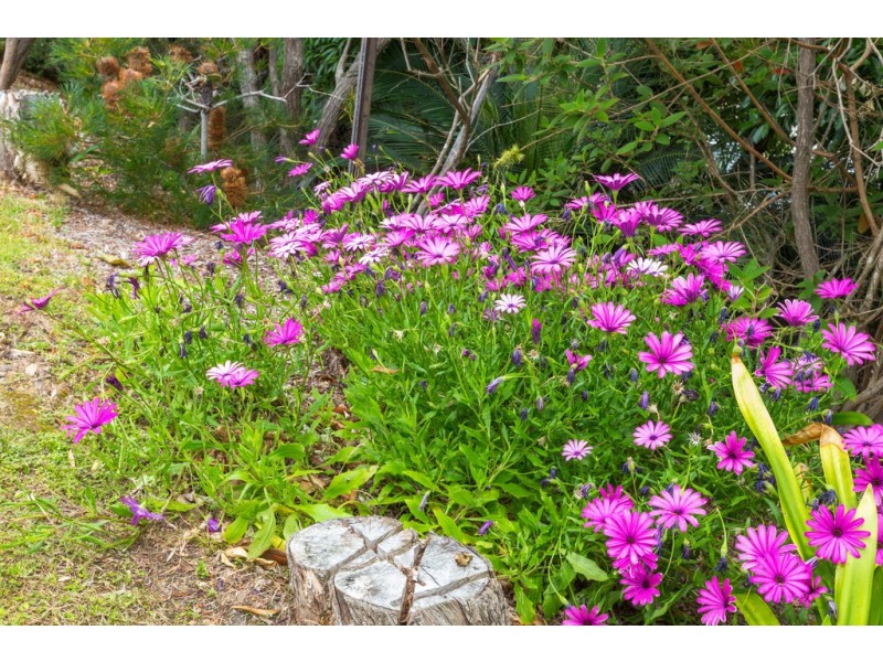 3 Forest Parade, Tomakin NSW 2537