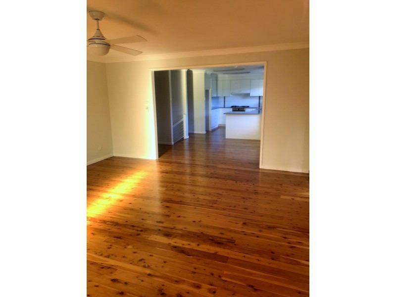 4 Arbor Court, Lilli Pilli NSW 2536