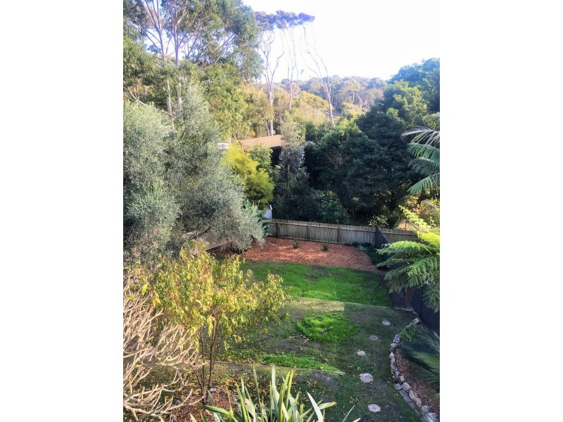 4 Arbor Court, Lilli Pilli NSW 2536