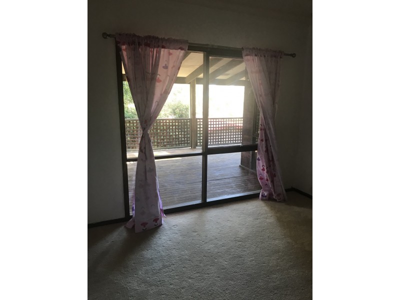 2/24 Elouera Close, Lilli Pilli NSW 2536