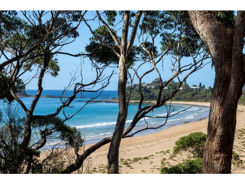 59 Yowani Road, Rosedale NSW 2536