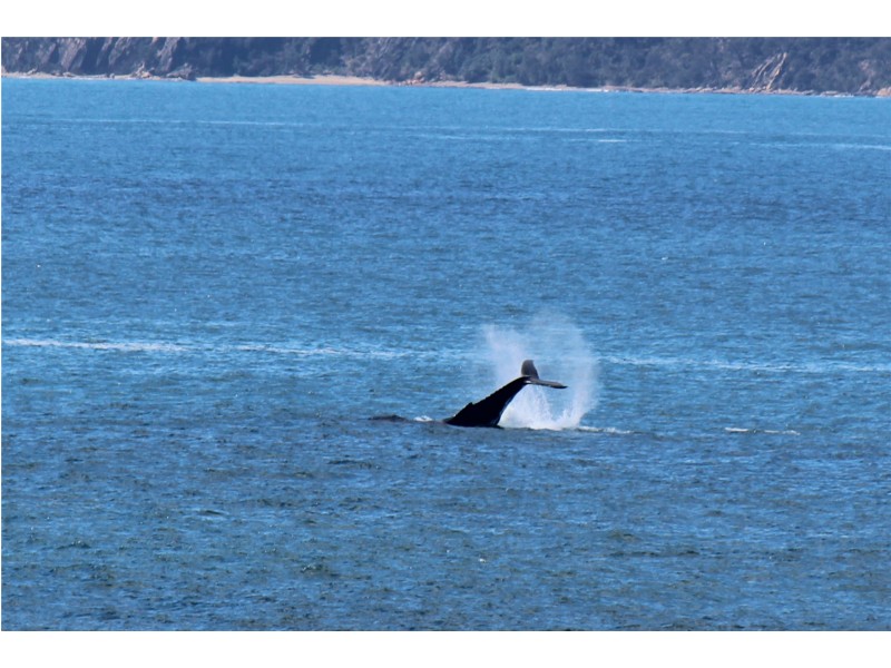 92 Yugura Street, Malua Bay NSW 2536