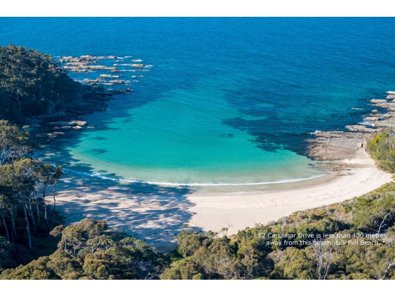 12 Carramar Drive, Lilli Pilli NSW 2536