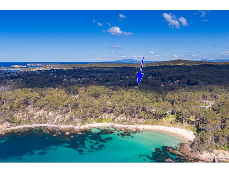 12 Carramar Drive, Lilli Pilli NSW 2536