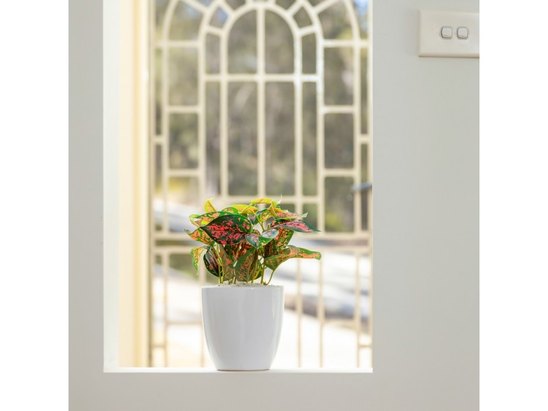 65 Clyde Road, North Batemans Bay NSW 2536