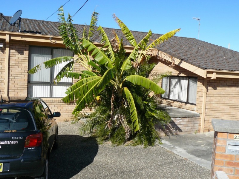 22 Moorong Crescent, Malua Bay NSW 2536