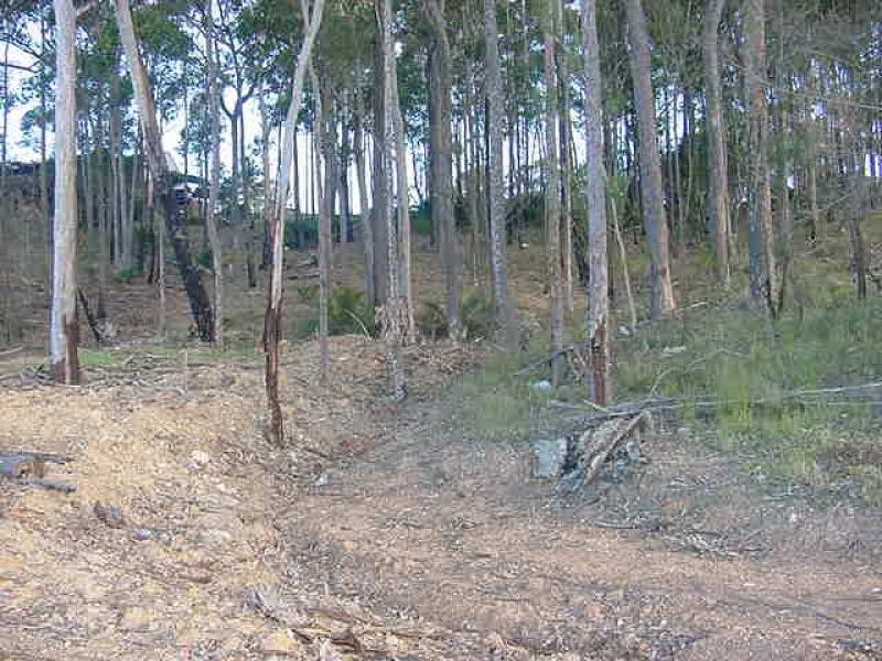 6 and 8 Jarrah Way, Malua Bay NSW 2536