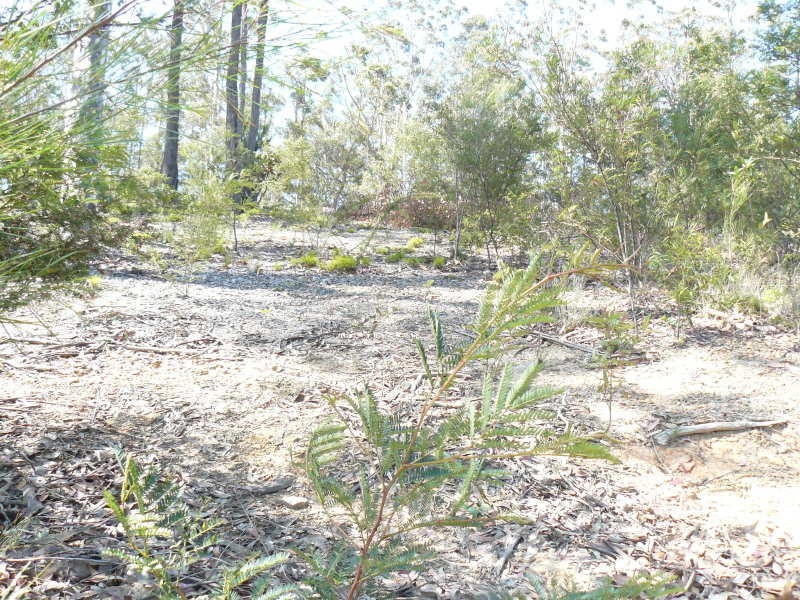 35 The Ridge Road, Malua Bay NSW 2536