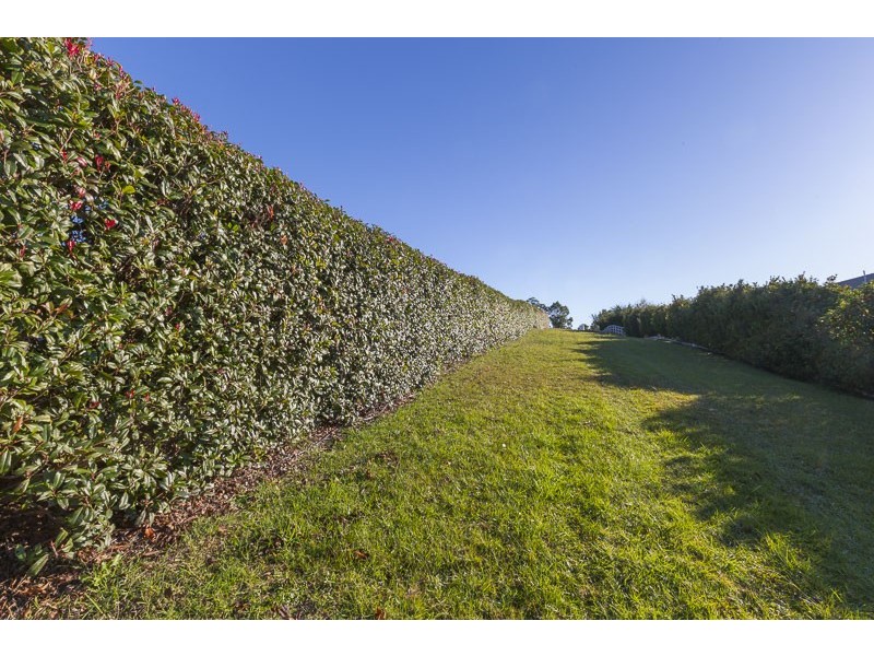 177 George Bass Drive, Surf Beach NSW 2536