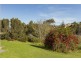 31 Tallawang Avenue, Malua Bay NSW 2536