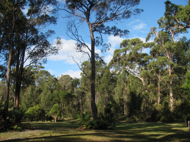 2 The Inlet, Mossy Point NSW 2537