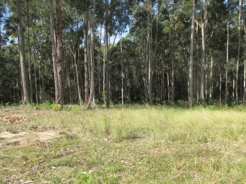 Lot 7 – 17 Brushbox and Woodlot Place ( Tallwood Estate), Batehaven NSW 2536