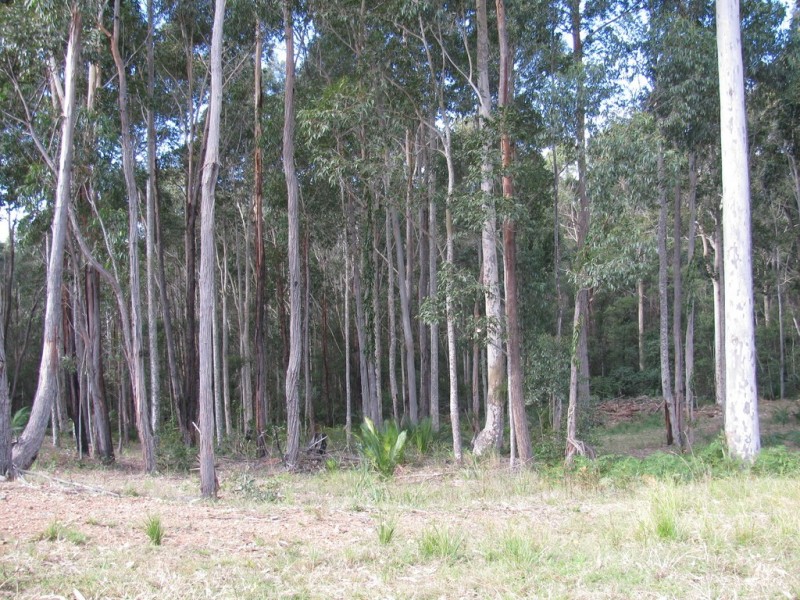 Lot 7 – 17 Brushbox and Woodlot Place ( Tallwood Estate), Batehaven NSW 2536