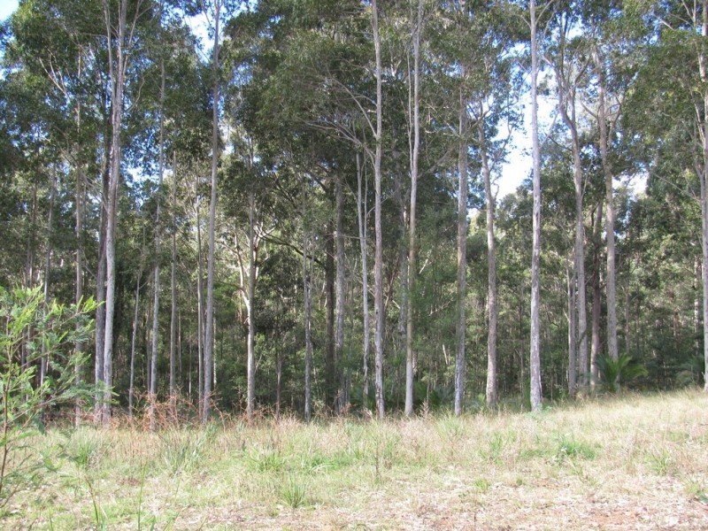 Lot 7 – 17 Brushbox and Woodlot Place ( Tallwood Estate), Batehaven NSW 2536