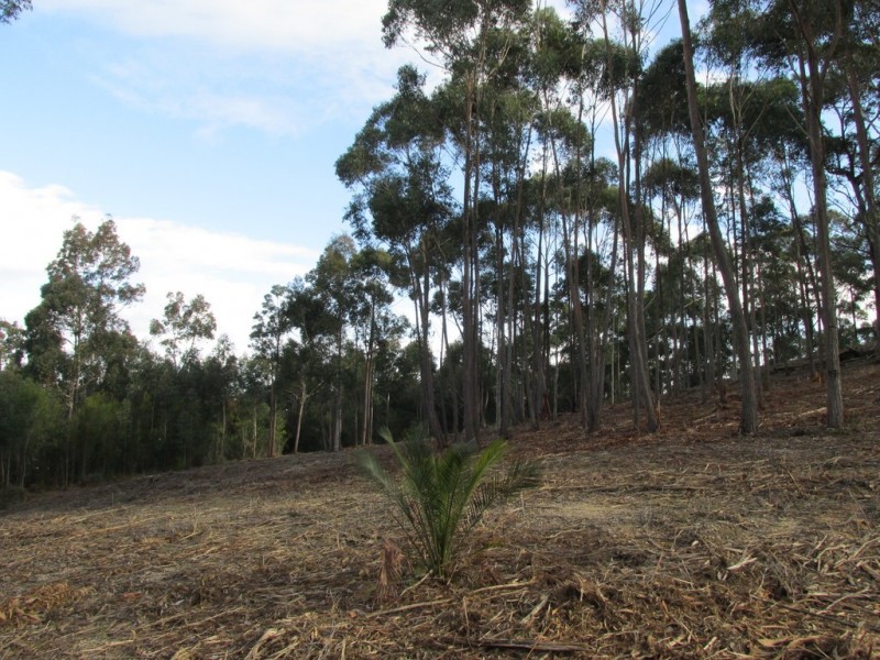 Lot 64 Clearwater Terrace, Mossy Point NSW 2537