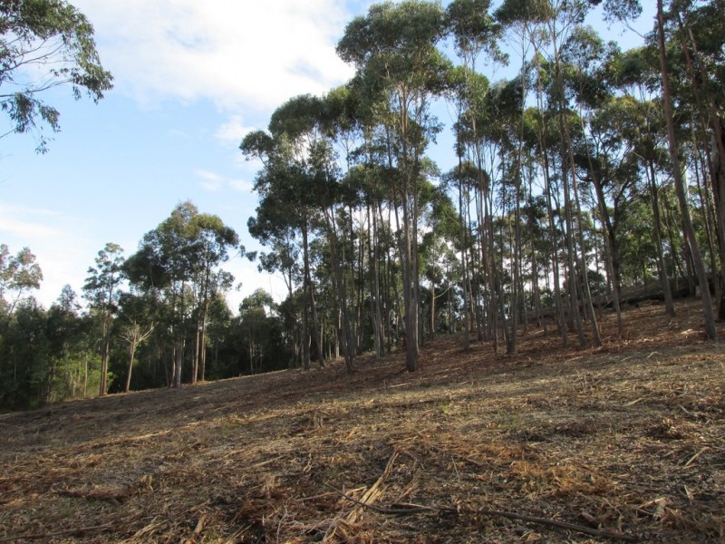 Lot 64 Clearwater Terrace, Mossy Point NSW 2537