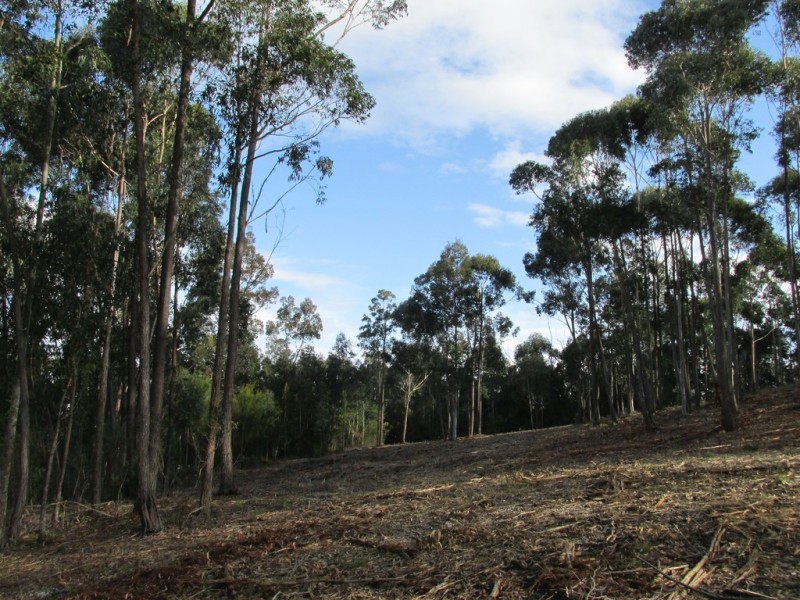 Lot 64 Clearwater Terrace, Mossy Point NSW 2537