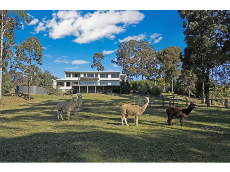 19 Blackbutt Lane, Malua Bay NSW 2536