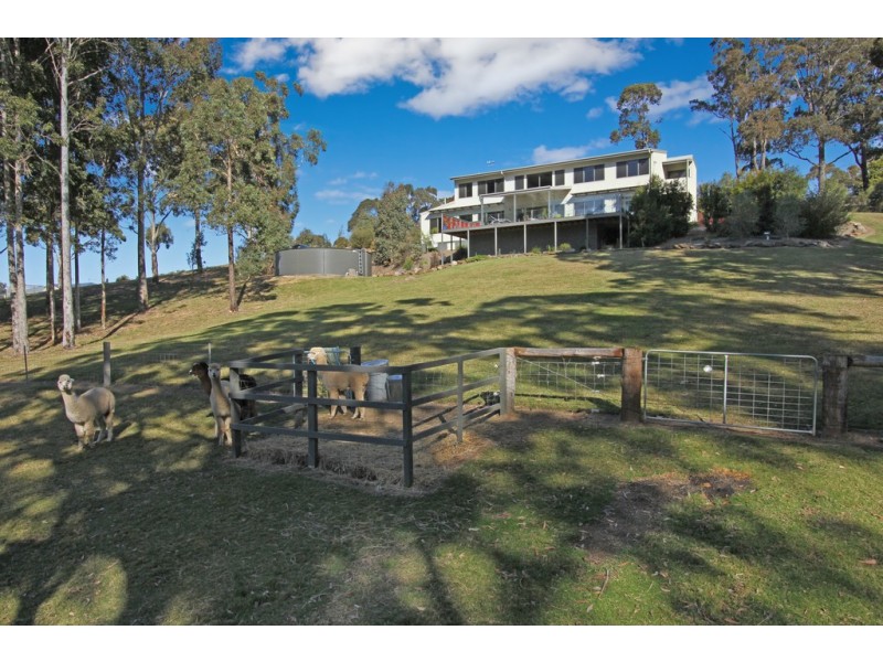 19 Blackbutt Lane, Malua Bay NSW 2536