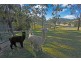 19 Blackbutt Lane, Malua Bay NSW 2536
