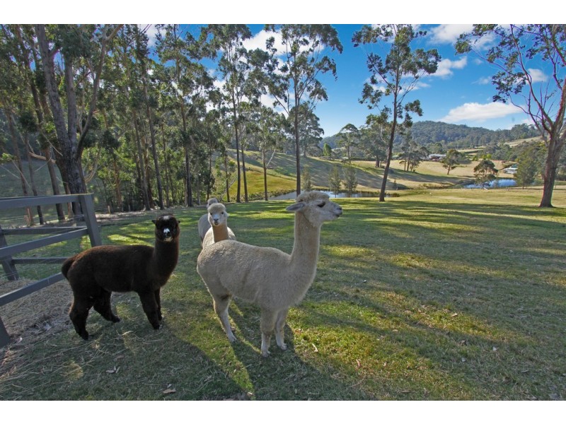 19 Blackbutt Lane, Malua Bay NSW 2536
