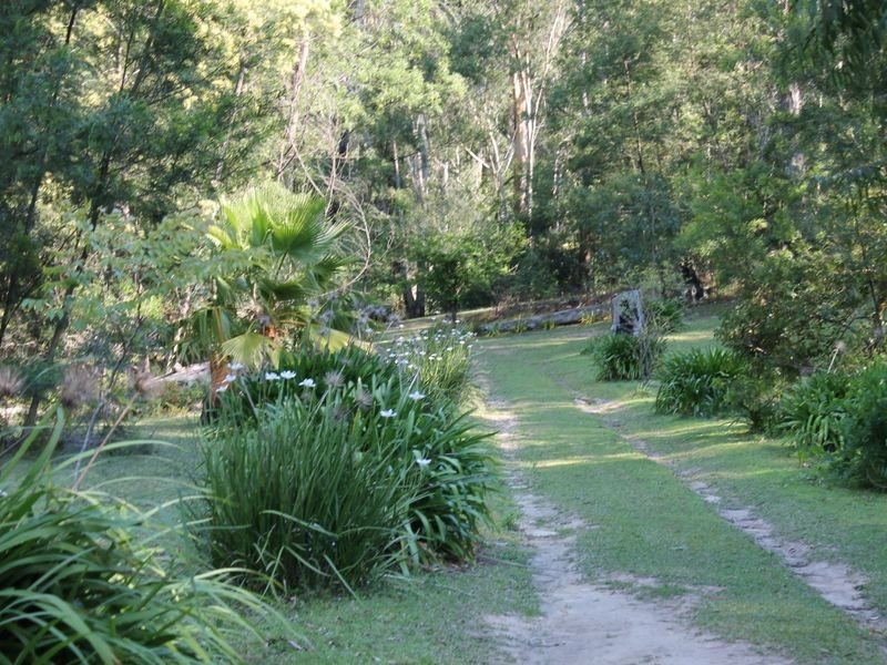 406 Backhouses Forest Road, Mogood NSW 2538