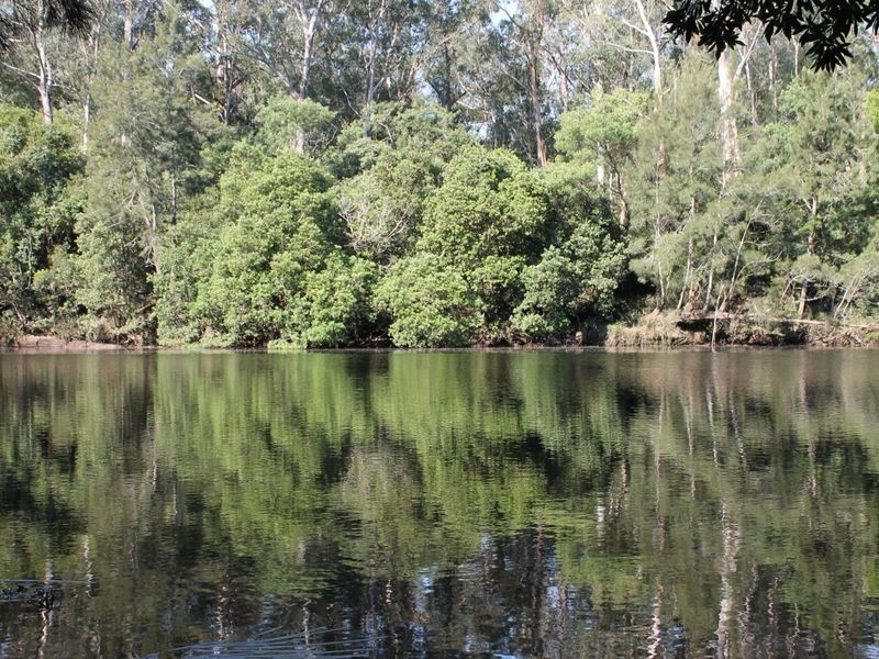 406 Backhouses Forest Road, Mogood NSW 2538