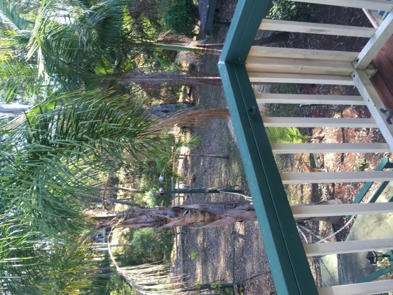 7 currell close, Malua Bay NSW 2536