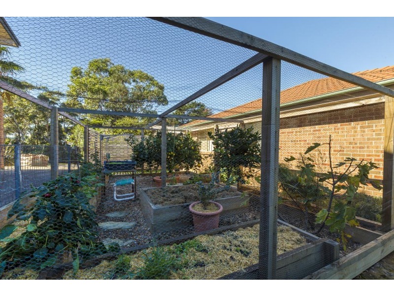 50 Tallawang Avenue, Malua Bay NSW 2536