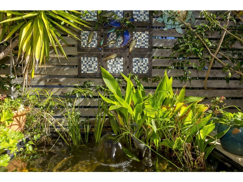 50 Tallawang Avenue, Malua Bay NSW 2536