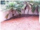 3 Brompton Road, Kensington NSW 2033