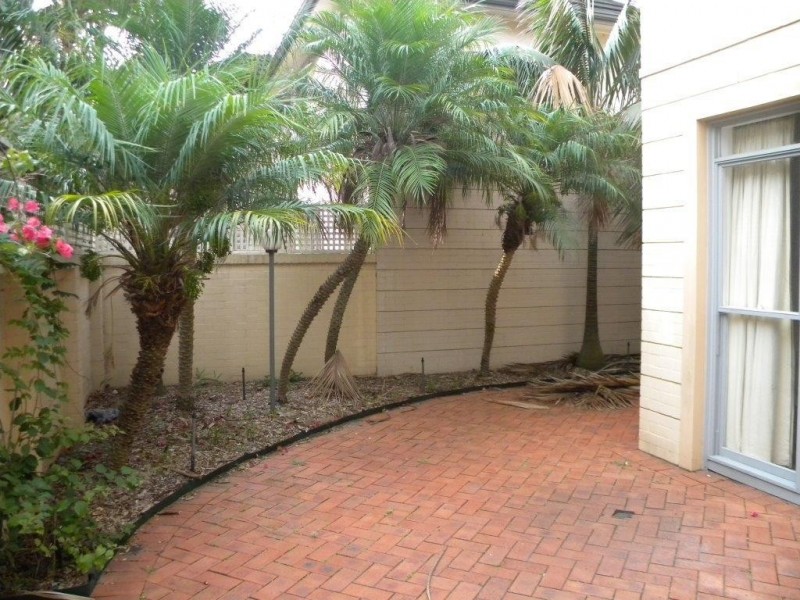 3 Brompton Road, Kensington NSW 2033