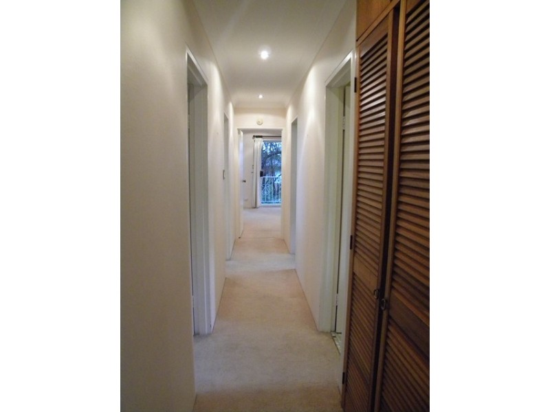 6/111 Arden Street, Coogee NSW 2034