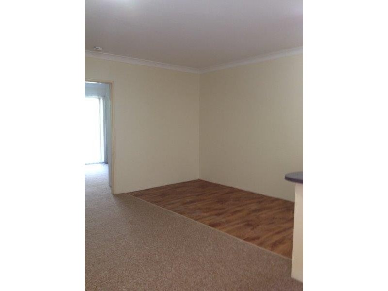 8/231 Anzac Parade, Kensington NSW 2033
